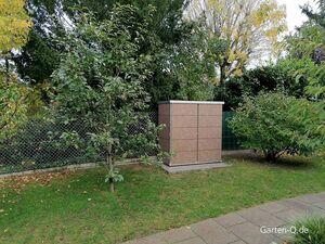 Ein Garten mit Bäumen, einem Zaun und einem braunen Gartenschrank an einer mit Gras bewachsenen Fläche.